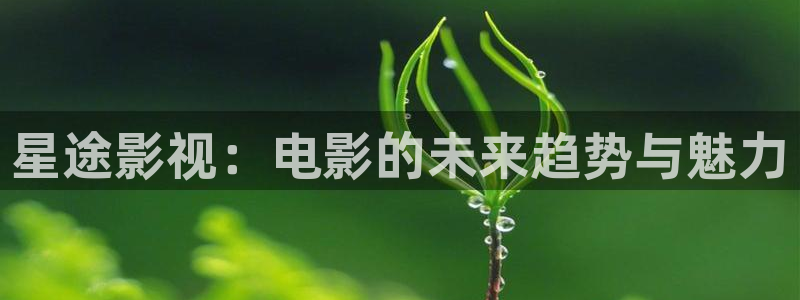 西瓜视频,：星途影视：电影的未来趋势与魅力