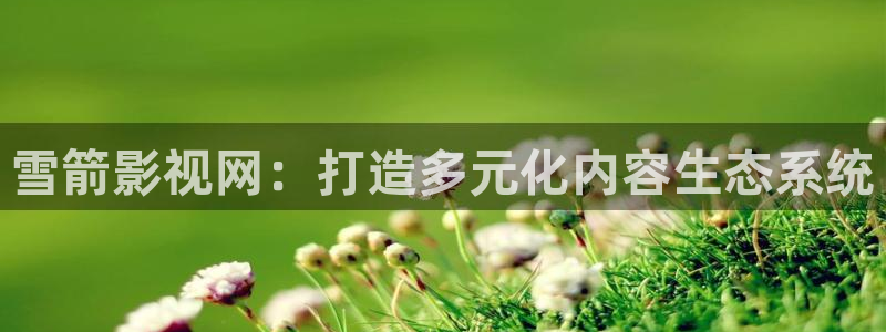 你好星期六西瓜影院：雪箭影视网：打造多元化内容生态系统