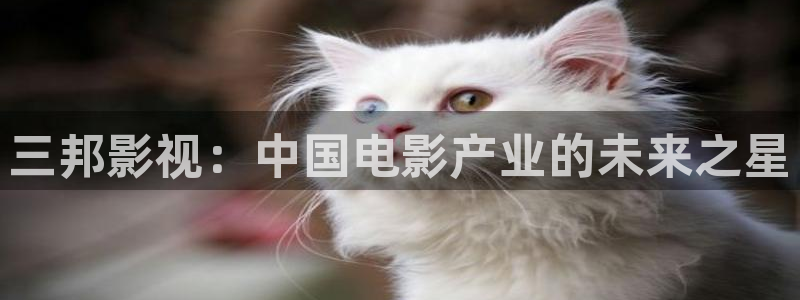 西瓜高清在线观看免费：三邦影视：中国电影产业的未来之星