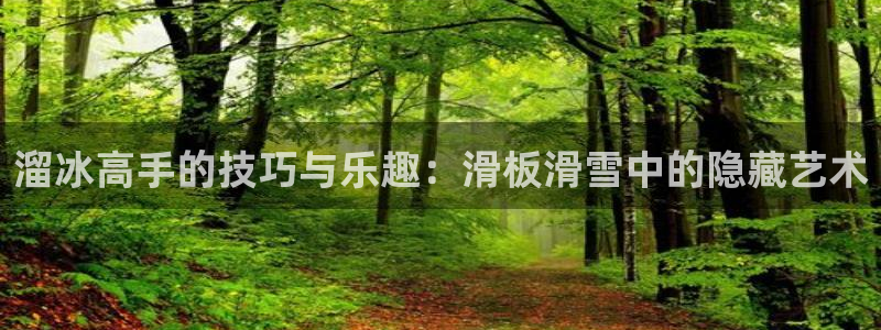 北京西瓜：溜冰高手的技巧与乐趣：滑板滑雪中的隐藏艺术