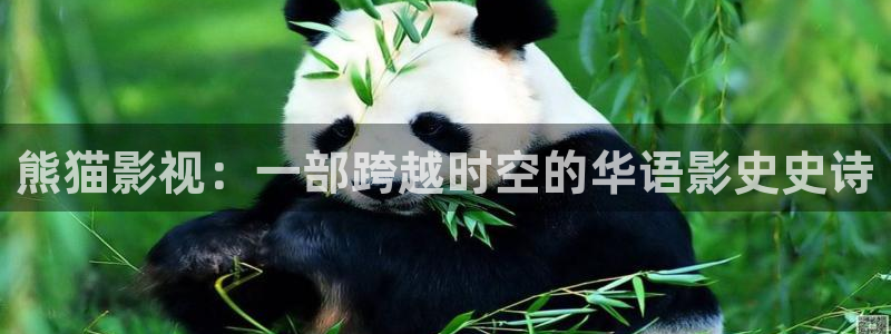 西瓜免费影音在线观看：熊猫影视：一部跨越时空的华语影史史诗