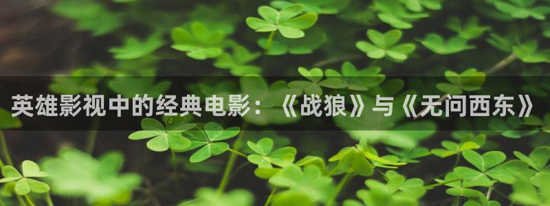 西瓜小剧场免费观看：英雄影视中的经典电影：《战狼》与《无问西东》