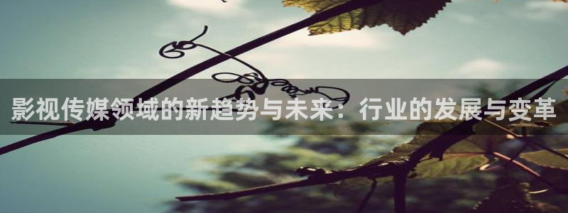 西瓜影院下：影视传媒领域的新趋势与未来：行业的发展与变革