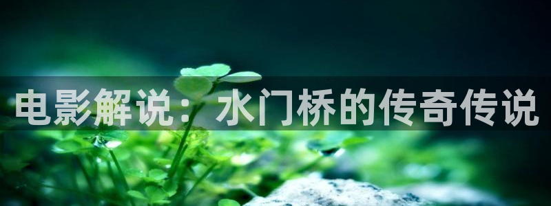 免费观看西瓜：电影解说：水门桥的传奇传说