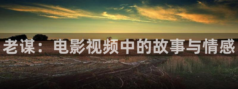 天天有喜电视剧免费观看西瓜影院：老谋：电影视频中的故事与情感