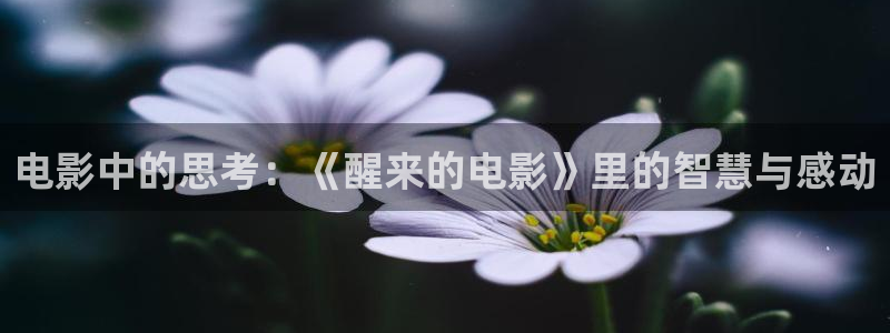 少帅电视剧全集免费观看西瓜：电影中的思考：《醒来的电影》里的智慧与感动
