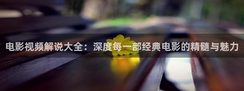 西瓜黄色片：电影视频解说大全：深度每一部经典电影的精髓与魅力