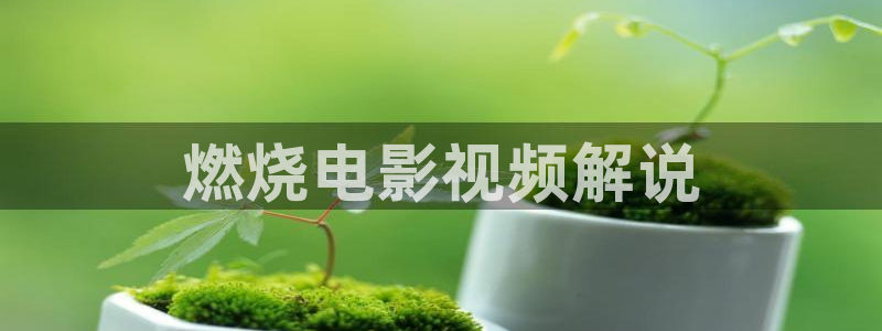 北京青年电视剧免费观看西瓜