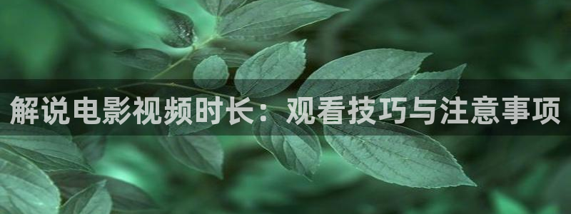披荆斩棘第二季免费观看西瓜