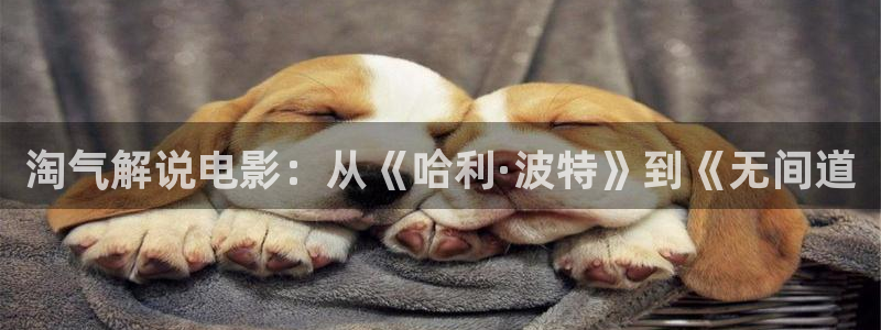 士兵突击在线观看免费西瓜