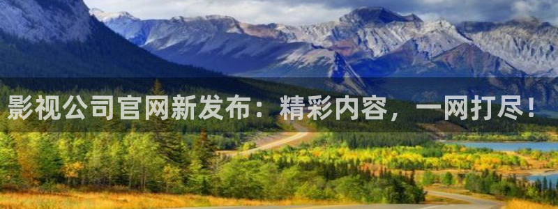 天天有喜电视剧免费观看西瓜影院