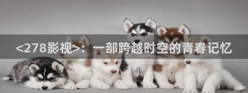 披荆斩棘第一季在线观看免费西瓜