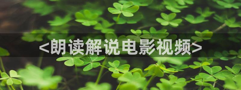 免费观看全集西瓜
