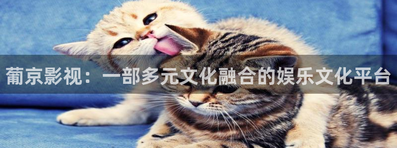 沉香重华免费西瓜影院