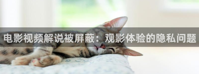 西瓜网免费观看电视剧
