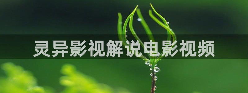 西瓜视电视剧