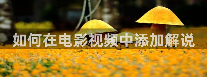 西瓜视频在线观看免费