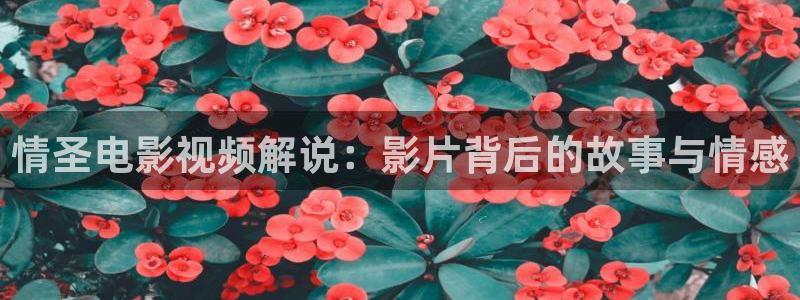 天狼西瓜影院