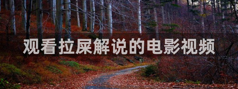 闪亮的西瓜在线