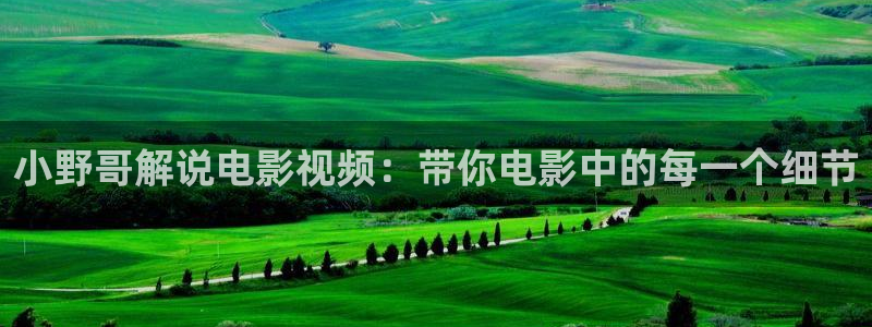 何以笙箫默西瓜影院
