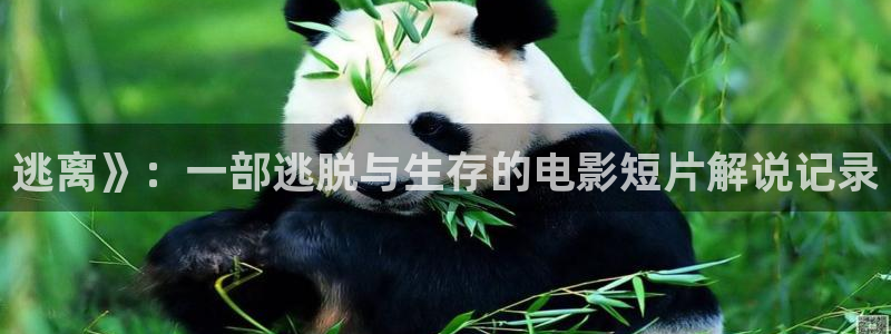 西瓜烟台