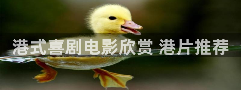 义者无敌西瓜免费版电视剧