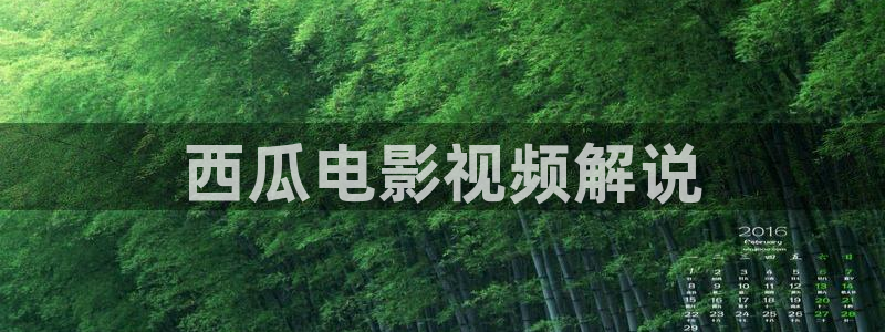 雪豹坚强岁月免费观看西瓜