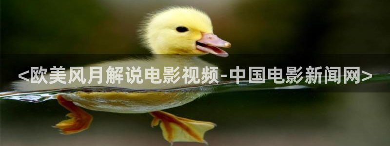 西瓜影院在线看