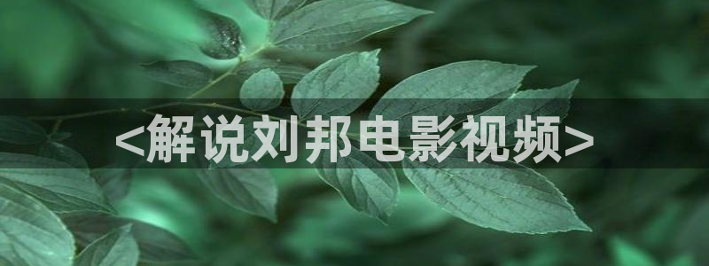 如懿传全集在线观看西瓜