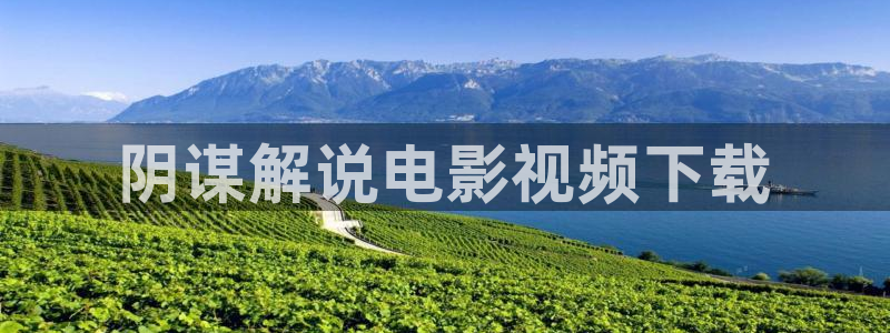 爱情不打烊电视剧免费观看西瓜