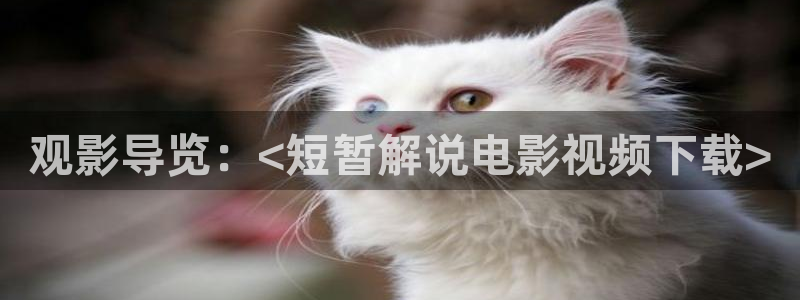 西瓜澎大