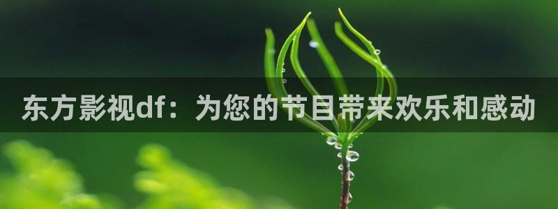 飘雪影院在线免费观看西瓜