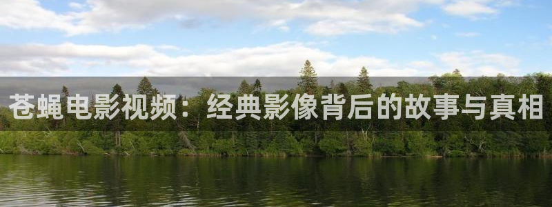 红娘子电视剧西瓜影院：苍蝇电影视频：经典影像背后的故事与真相