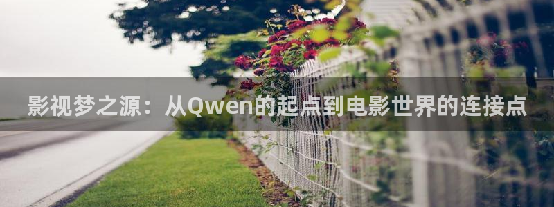 西瓜网免费观看电视剧