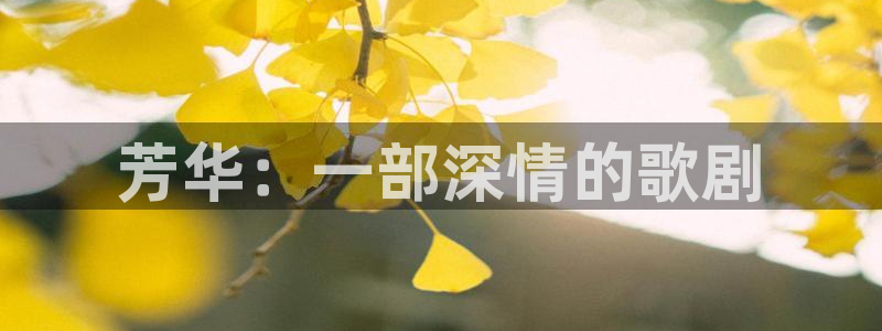 西瓜免费电影网站