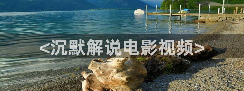 坚如磐石在线观看完整版西瓜免费
