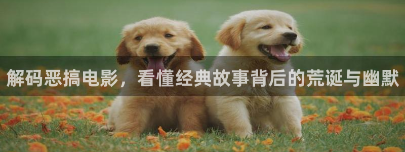 西瓜视频在线观看完整版免费