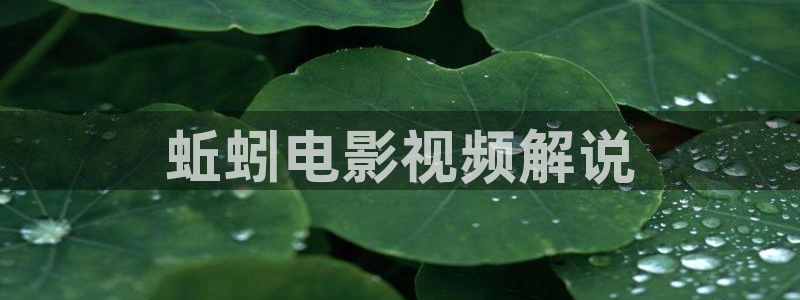 西瓜视大