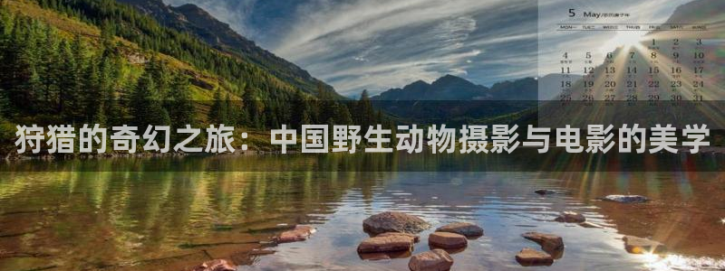 西瓜影院成人