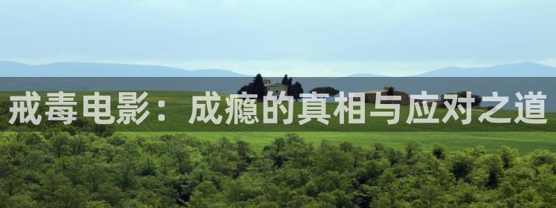 妈妈的朋友在线观看西瓜