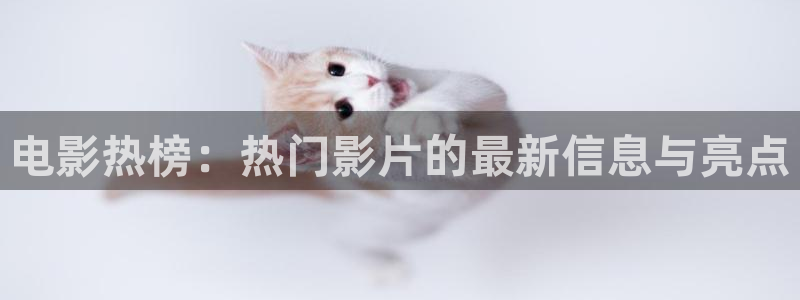 西瓜照片
