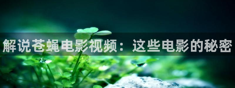 暖春电影免费观看西瓜