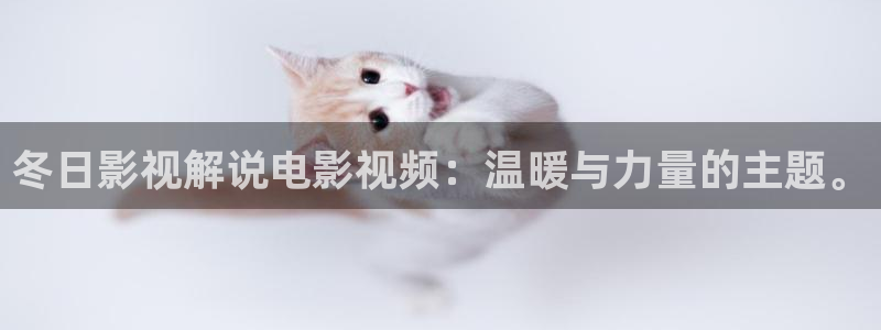 极限挑战宝藏行免费观看完整版西瓜