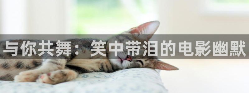 西瓜网在线看