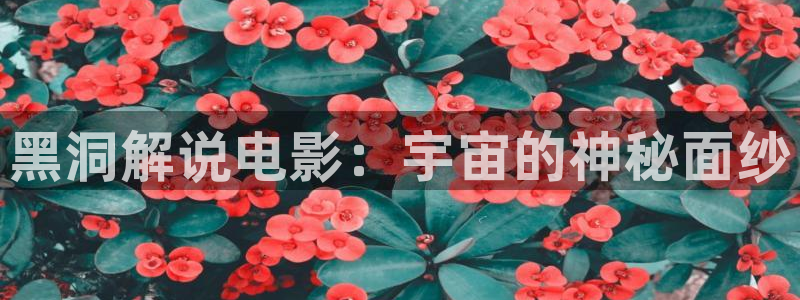 西瓜在线免费播放