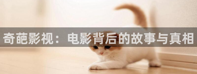 少年白马醉春风西瓜影院免费观看