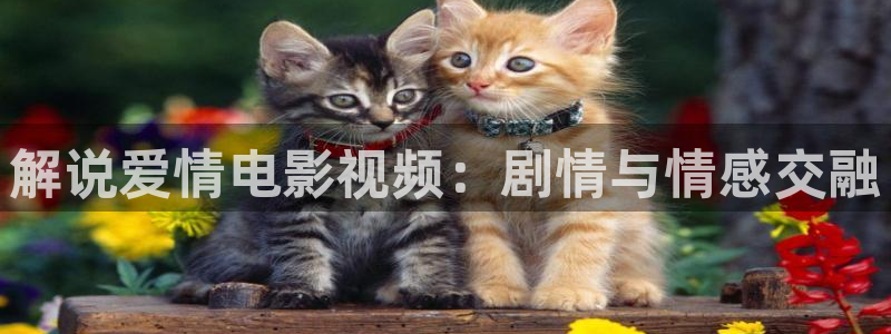 西瓜影院西瓜影院