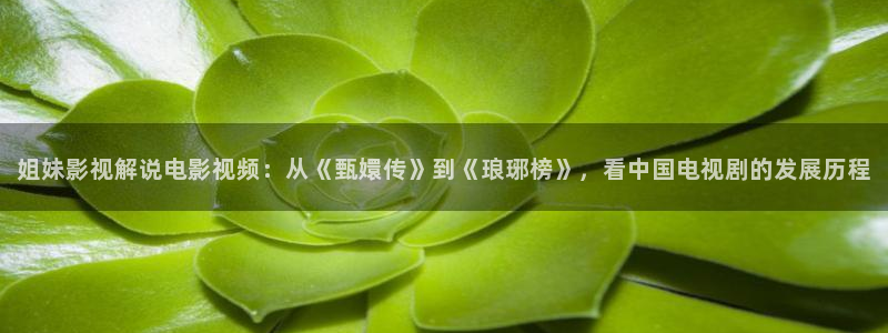 小欢喜全集免费观看西瓜