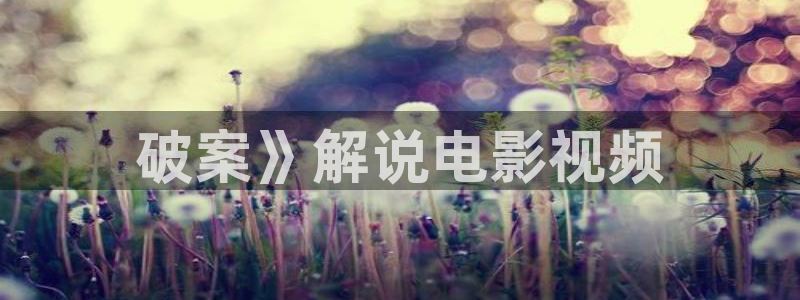 长相思电视剧在线观看免费版西瓜影院