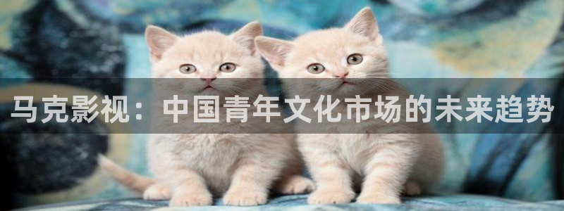 西瓜网站在线观看免费高清电视剧